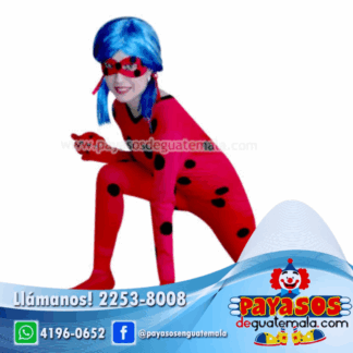 ANIMADORA LADYBUG