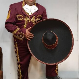 Imitador 100 por ciento voz